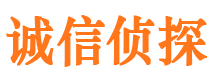 西城市侦探公司